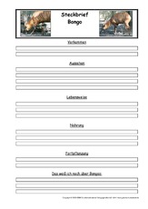 Bongo-Steckbriefvorlage.pdf